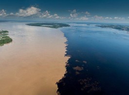 Rio Negro: The largest blackwater river in the world