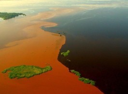 Encontro das águas: Conheça os locais onde o fenômeno acontece na Amazônia